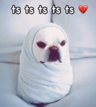 Skibidi pomni