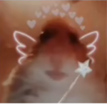 Bribrithecat123