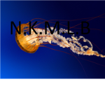 N.K.M.L.B