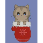 The KittensInMittens Team