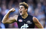 vibe afl group