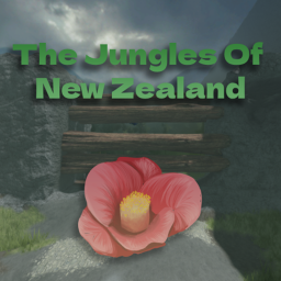 The Jungles Of New Zealand