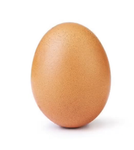 EGG-COOL