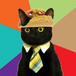 Taco Cats!