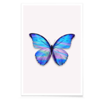 Butterfly Club BFF