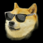 Doge Organisation