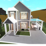 Bloxburg party/ Netball