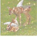 Animal Squad Society