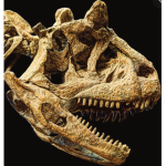 The Carnotaurus Club