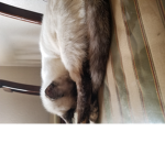 MoonLuna:)
