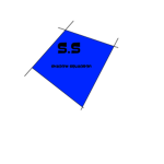 S.S-(Shadow Squadron)