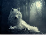 The Wolves of Shadow Lake