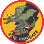 Escuadrón de Combate.