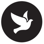Swift Hotels & Resorts