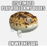 frog gamers!