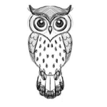 owl girls squad