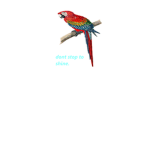 The dancing Parrots Group