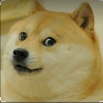 Sporting doge fc