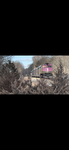 Trains :)