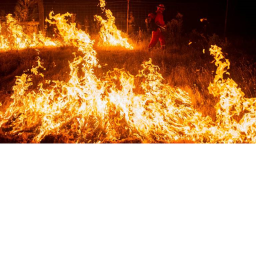 Fire World