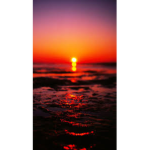 Sunset GraceYT