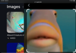 Then fishy cult