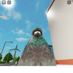 Pigeon City