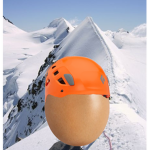 Egg Expeditions.