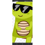 Turtle_Gang_