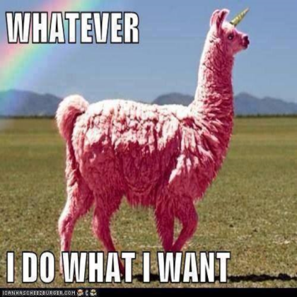 funny llama unicorn Roblox decal