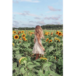 Faith blossom