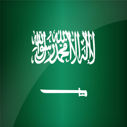 Flag Of Saudi Arabia Roblox decal