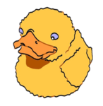 DUCK ARE THE BEST IN THE WORLD