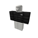 The North Face Jacket