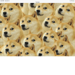 DOGE RISING