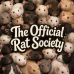 The Official Rat Society