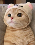 박예so~
