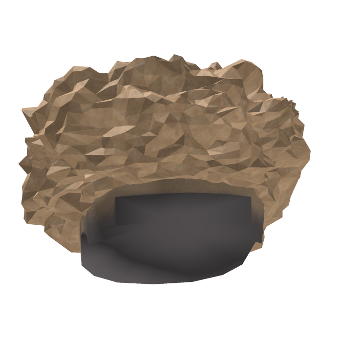 Zion Fro V2