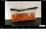 BAKED BEANS CORP.