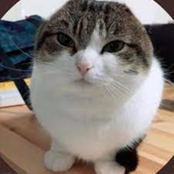 Kumalala Savesta Party