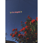 Angela_playzroblox
