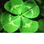 The leprechauns wrath.
