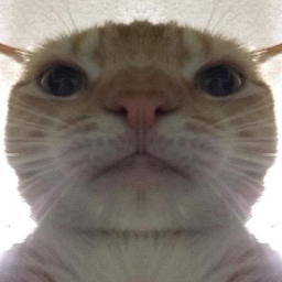 Testing