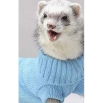 Commisions from ferret studios!