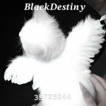 BlackDestiny Group Thumbnail