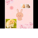 Berry bunny’s