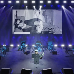 Morrissey stage concert icon