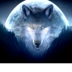 Wolfes group
