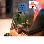 sweatercat c.o