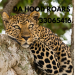 Da hood roars
